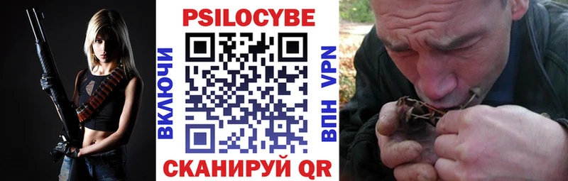 как найти закладки  Прохладный  Галлюциногенные грибы Psilocybe 