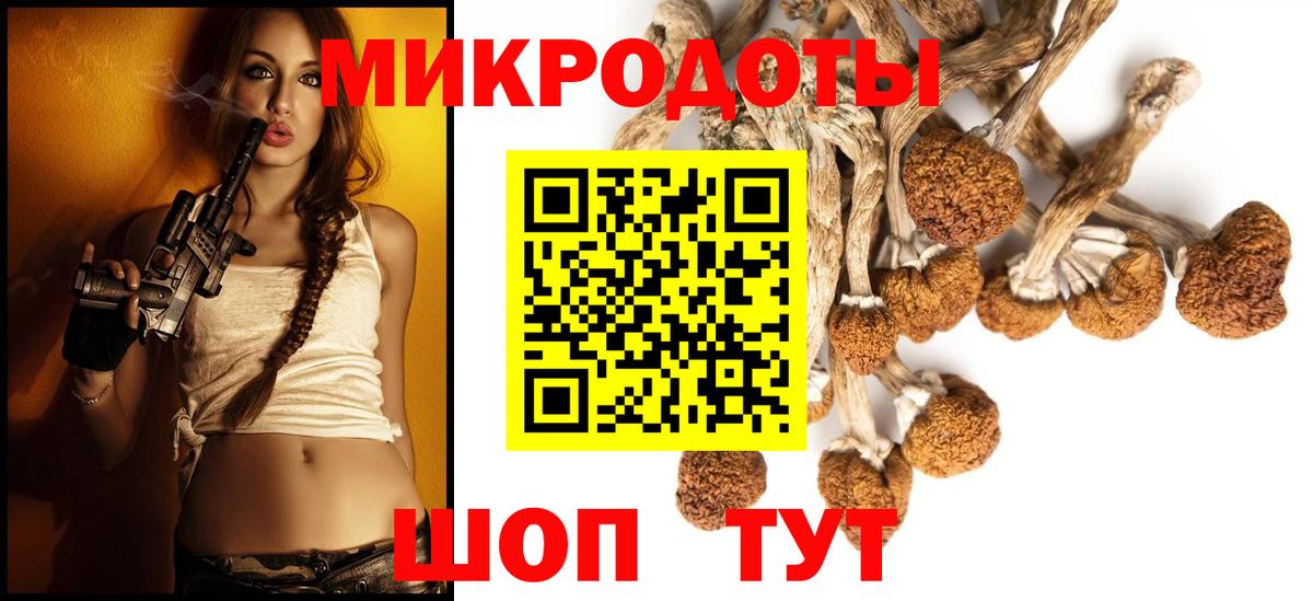 Прохладный  Галлюциногенные грибы Magic Shrooms  Вход с VPN  Псилоцибиновые грибы GOLDEN TEACHER 