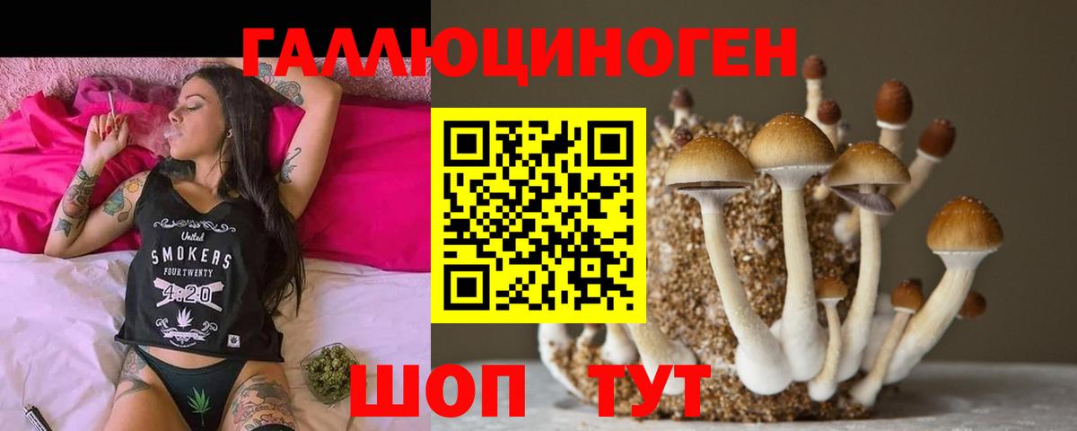 Псилоцибиновые грибы мухоморы Прохладный